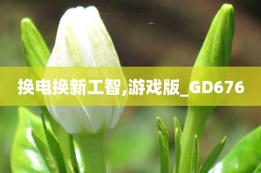 换电换新工智,游戏版_GD676