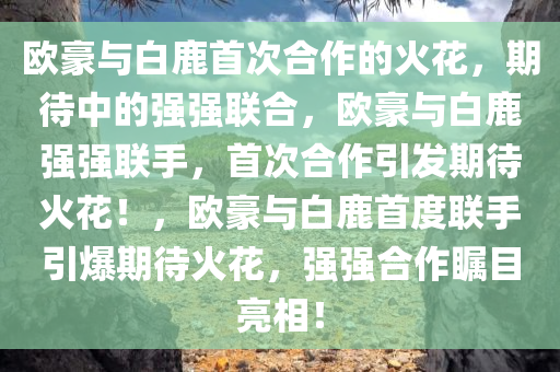 欧豪与白鹿首次合作的火花，期待中的强强联合，欧豪与白鹿强强联手，首次合作引发期待火花！，欧豪与白鹿首度联手引爆期待火花，强强合作瞩目亮相！