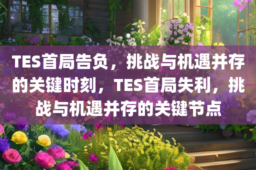 TES首局告负，挑战与机遇并存的关键时刻，TES首局失利，挑战与机遇并存的关键节点