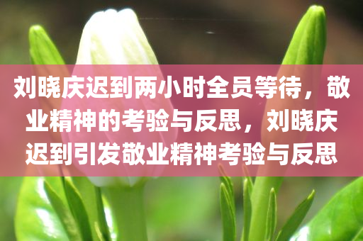 chushichang 第3页