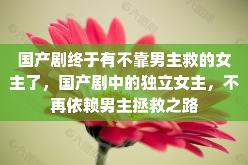 国产剧终于有不靠男主救的女主了，国产剧中的独立女主，不再依赖男主拯救之路