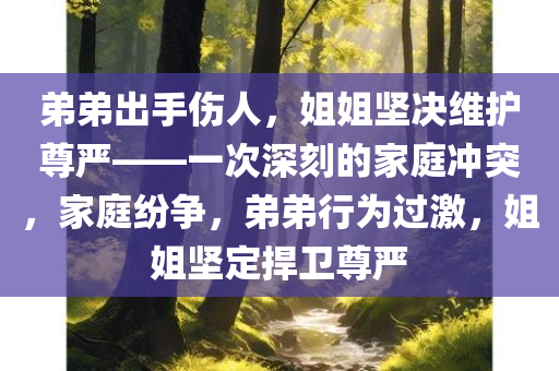 弟弟出手伤人，姐姐坚决维护尊严——一次深刻的家庭冲突，家庭纷争，弟弟行为过激，姐姐坚定捍卫尊严