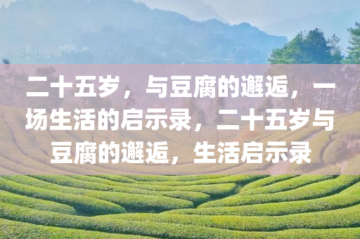 二十五岁，与豆腐的邂逅，一场生活的启示录，二十五岁与豆腐的邂逅，生活启示录