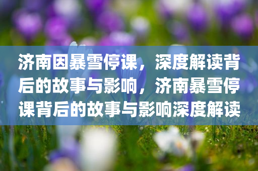 济南因暴雪停课，深度解读背后的故事与影响，济南暴雪停课背后的故事与影响深度解读