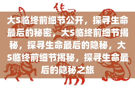 大S临终前细节公开，探寻生命最后的秘密，大S临终前细节揭秘，探寻生命最后的隐秘，大S临终前细节揭秘，探寻生命最后的隐秘之旅