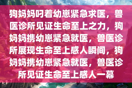 狗妈妈叼着幼崽紧急求医，兽医诊所见证生命至上之力，狗妈妈携幼崽紧急就医，兽医诊所展现生命至上感人瞬间，狗妈妈携幼崽紧急就医，兽医诊所见证生命至上感人一幕