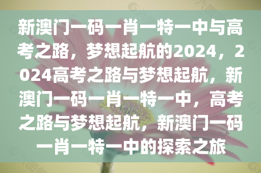 新澳门一码一肖一特一中与高考之路，梦想起航的2024，2024高考之路与梦想起航，新澳门一码一肖一特一中，高考之路与梦想起航，新澳门一码一肖一特一中的探索之旅
