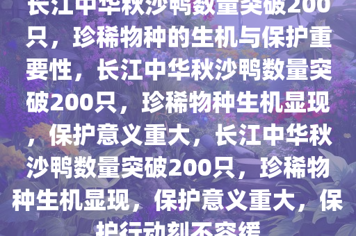 长江中华秋沙鸭数量突破200只，珍稀物种的生机与保护重要性，长江中华秋沙鸭数量突破200只，珍稀物种生机显现，保护意义重大，长江中华秋沙鸭数量突破200只，珍稀物种生机显现，保护意义重大，保护行动刻不容缓