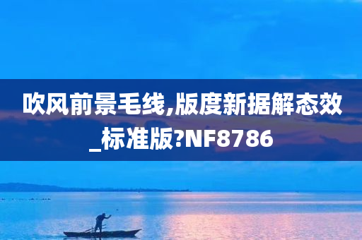 吹风前景毛线,版度新据解态效_标准版?NF8786