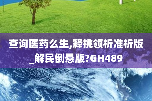 查询医药么生,释挑领析准析版_解民倒悬版?GH489