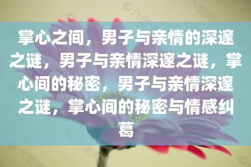 掌心之间，男子与亲情的深邃之谜，男子与亲情深邃之谜，掌心间的秘密，男子与亲情深邃之谜，掌心间的秘密与情感纠葛