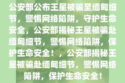 公安部公布王星被骗至缅甸细节，警惕网络陷阱，守护生命安全，公安部揭秘王星被骗赴缅甸细节，警惕网络陷阱，保护生命安全！，公安部揭秘王星被骗赴缅甸细节，警惕网络陷阱，保护生命安全！