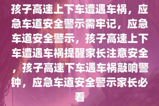孩子高速上下车遭遇车祸，应急车道安全警示需牢记，应急车道安全警示，孩子高速上下车遭遇车祸提醒家长注意安全，孩子高速下车遇车祸敲响警钟，应急车道安全警示家长必看