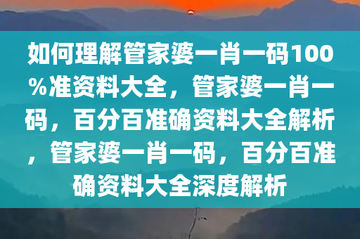 如何理解管家婆一肖一码100%准资料大全，管家婆一肖一码，百分百准确资料大全解析，管家婆一肖一码，百分百准确资料大全深度解析