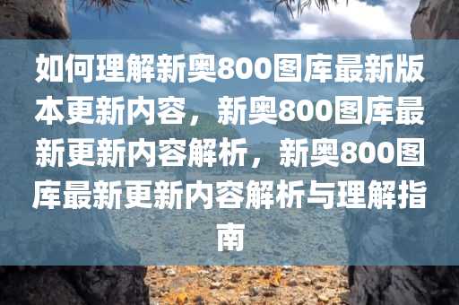 如何理解新奥800图库最新版本更新内容，新奥800图库最新更新内容解析，新奥800图库最新更新内容解析与理解指南