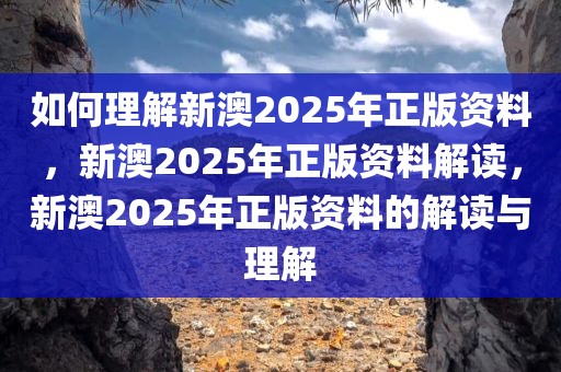 如何理解新澳2025年正版资料，新澳2025年正版资料解读，新澳2025年正版资料的解读与理解