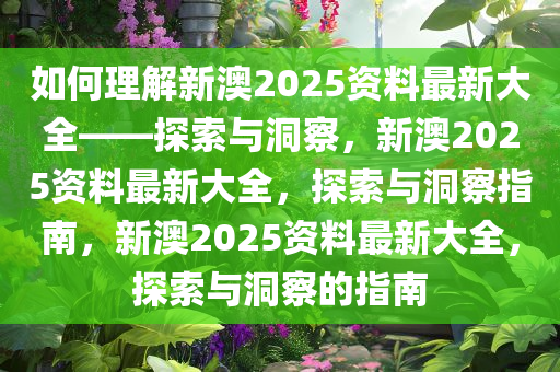 如何理解新澳2025资料最新大全——探索与洞察，新澳2025资料最新大全，探索与洞察指南，新澳2025资料最新大全，探索与洞察的指南