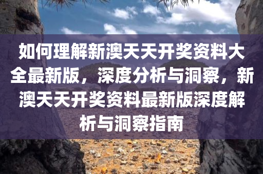 如何理解新澳天天开奖资料大全最新版，深度分析与洞察，新澳天天开奖资料最新版深度解析与洞察指南