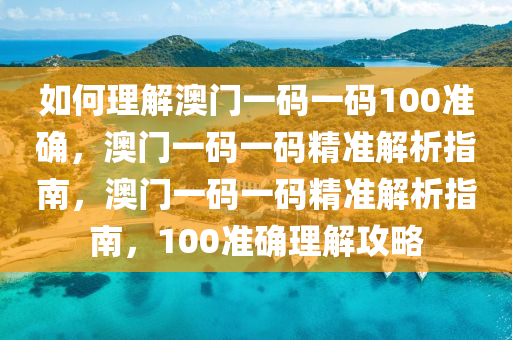 如何理解澳门一码一码100准确，澳门一码一码精准解析指南，澳门一码一码精准解析指南，100准确理解攻略