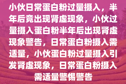 小伙日常蛋白粉过量摄入，半年后竟出现肾虚现象，小伙过量摄入蛋白粉半年后出现肾虚现象警告，日常蛋白粉摄入需适量，小伙蛋白粉过量摄入引发肾虚现象，日常蛋白粉摄入需适量警惕警告