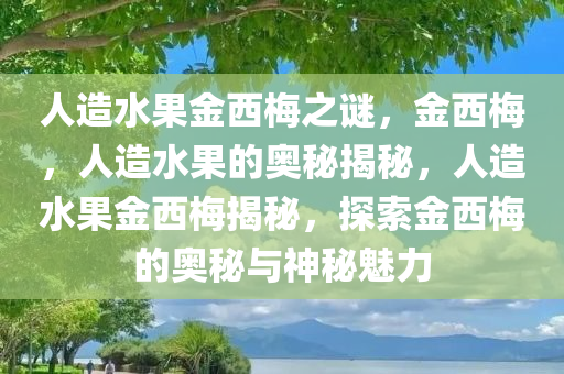 人造水果金西梅之谜，金西梅，人造水果的奥秘揭秘，人造水果金西梅揭秘，探索金西梅的奥秘与神秘魅力
