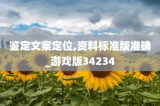 鉴定文案定位,资料标准版准确_游戏版34234