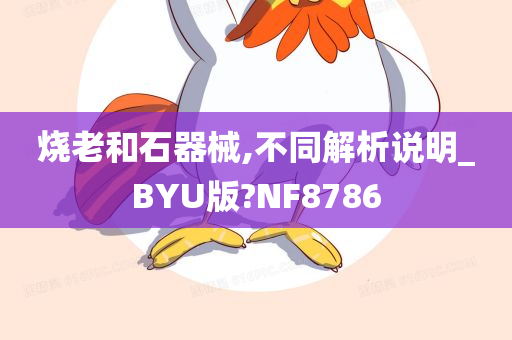 烧老和石器械,不同解析说明_BYU版?NF8786