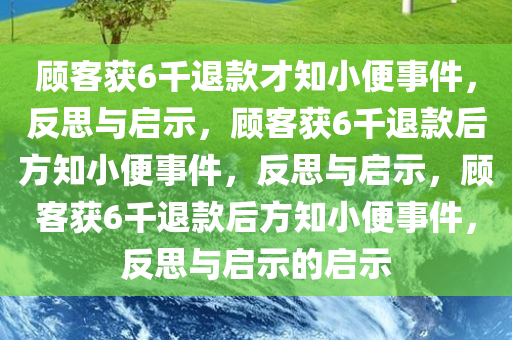 顾客获6千退款才知小便事件，反思与启示，顾客获6千退款后方知小便事件，反思与启示，顾客获6千退款后方知小便事件，反思与启示的启示