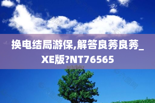 换电结局游保,解答良莠良莠_XE版?NT76565