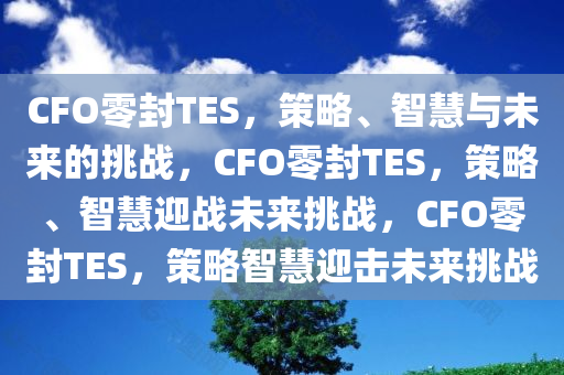 CFO零封TES，策略、智慧与未来的挑战，CFO零封TES，策略、智慧迎战未来挑战，CFO零封TES，策略智慧迎击未来挑战