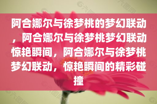 阿合娜尔与徐梦桃的梦幻联动，阿合娜尔与徐梦桃梦幻联动惊艳瞬间，阿合娜尔与徐梦桃梦幻联动，惊艳瞬间的精彩碰撞