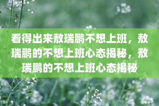 看得出来敖瑞鹏不想上班，敖瑞鹏的不想上班心态揭秘，敖瑞鹏的不想上班心态揭秘