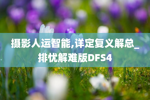 摄影人运智能,详定复义解总_排忧解难版DFS4