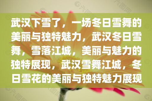 武汉下雪了，一场冬日雪舞的美丽与独特魅力，武汉冬日雪舞，雪落江城，美丽与魅力的独特展现，武汉雪舞江城，冬日雪花的美丽与独特魅力展现