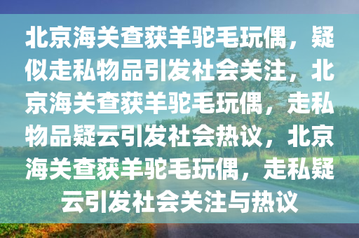 北京海关查获羊驼毛玩偶，疑似走私物品引发社会关注，北京海关查获羊驼毛玩偶，走私物品疑云引发社会热议，北京海关查获羊驼毛玩偶，走私疑云引发社会关注与热议