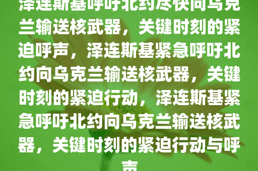 泽连斯基呼吁北约尽快向乌克兰输送核武器，关键时刻的紧迫呼声，泽连斯基紧急呼吁北约向乌克兰输送核武器，关键时刻的紧迫行动，泽连斯基紧急呼吁北约向乌克兰输送核武器，关键时刻的紧迫行动与呼声