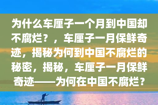 为什么车厘子一个月到中国却不腐烂？，车厘子一月保鲜奇迹，揭秘为何到中国不腐烂的秘密，揭秘，车厘子一月保鲜奇迹——为何在中国不腐烂？