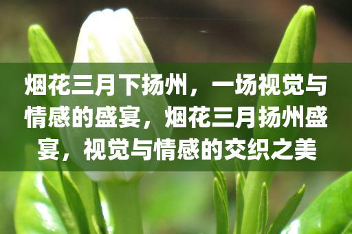 烟花三月下扬州，一场视觉与情感的盛宴，烟花三月扬州盛宴，视觉与情感的交织之美