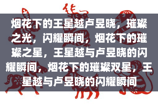 烟花下的王星越卢昱晓，璀璨之光，闪耀瞬间，烟花下的璀璨之星，王星越与卢昱晓的闪耀瞬间，烟花下的璀璨双星，王星越与卢昱晓的闪耀瞬间
