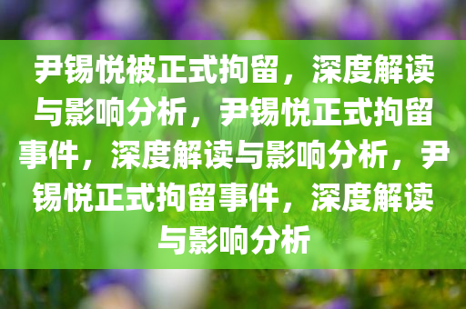 尹锡悦被正式拘留，深度解读与影响分析，尹锡悦正式拘留事件，深度解读与影响分析，尹锡悦正式拘留事件，深度解读与影响分析
