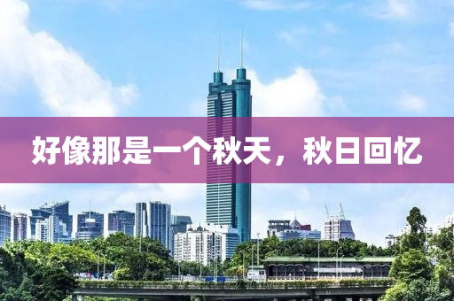 好像那是一个秋天，秋日回忆