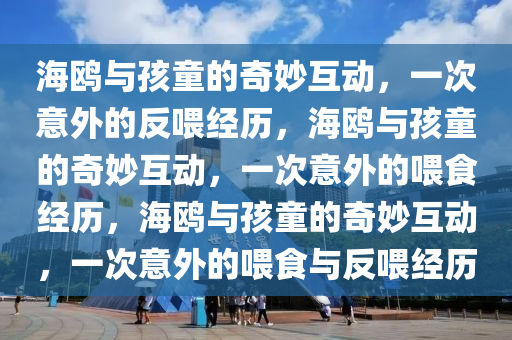 海鸥与孩童的奇妙互动，一次意外的反喂经历，海鸥与孩童的奇妙互动，一次意外的喂食经历，海鸥与孩童的奇妙互动，一次意外的喂食与反喂经历今晚必出三肖2025_2025新澳门精准免费提供·精确判断