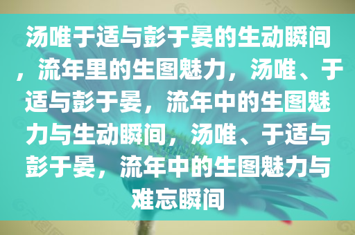 汤唯于适与彭于晏的生动瞬间，流年里的生图魅力，汤唯、于适与彭于晏，流年中的生图魅力与生动瞬间，汤唯、于适与彭于晏，流年中的生图魅力与难忘瞬间