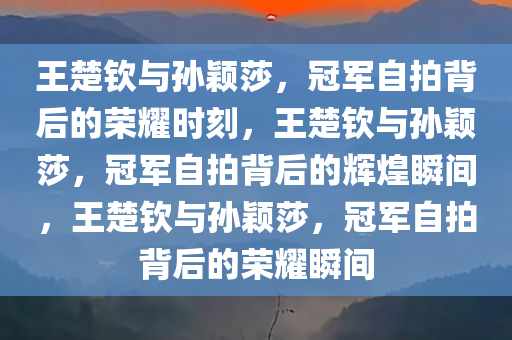 王楚钦与孙颖莎，冠军自拍背后的荣耀时刻，王楚钦与孙颖莎，冠军自拍背后的辉煌瞬间，王楚钦与孙颖莎，冠军自拍背后的荣耀瞬间