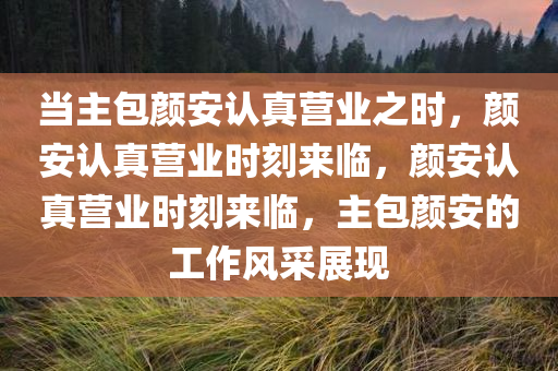 当主包颜安认真营业之时，颜安认真营业时刻来临，颜安认真营业时刻来临，主包颜安的工作风采展现