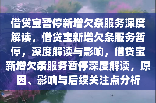 借贷宝暂停新增欠条服务深度解读，借贷宝新增欠条服务暂停，深度解读与影响，借贷宝新增欠条服务暂停深度解读，原因、影响与后续关注点分析