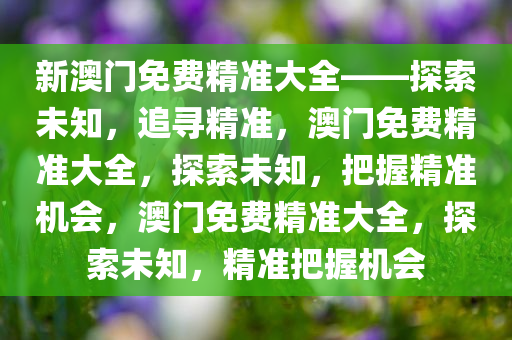 新澳门免费精准大全——探索未知，追寻精准，澳门免费精准大全，探索未知，把握精准机会，澳门免费精准大全，探索未知，精准把握机会