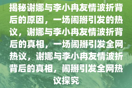 揭秘谢娜与李小冉友情波折背后的原因，一场闹掰引发的热议，谢娜与李小冉友情波折背后的真相，一场闹掰引发全网热议，谢娜与李小冉友情波折背后的真相，闹掰引发全网热议探究