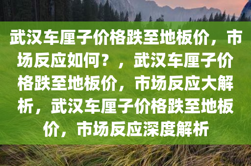武汉车厘子价格跌至地板价，市场反应如何？，武汉车厘子价格跌至地板价，市场反应大解析，武汉车厘子价格跌至地板价，市场反应深度解析