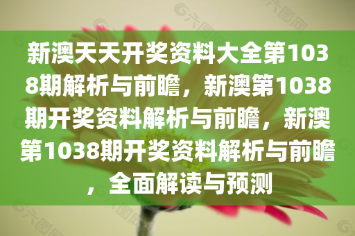 新澳天天开奖资料大全第1038期解析与前瞻，新澳第1038期开奖资料解析与前瞻，新澳第1038期开奖资料解析与前瞻，全面解读与预测